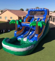 18Ft Double Slide - Tropical